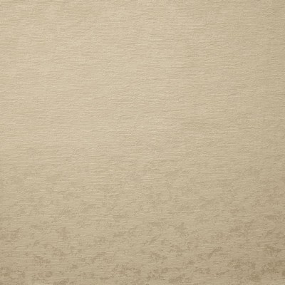 Kasmir WINDSOR ROAD     OYSTER          